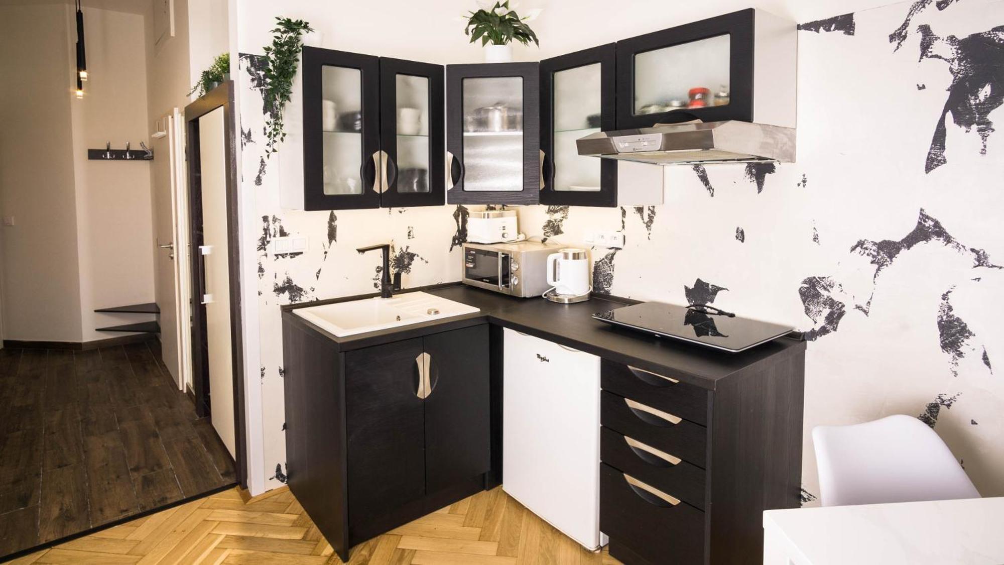 Black & White Apartment Prague By Wenceslas Square And Muzeum Apartment Prague