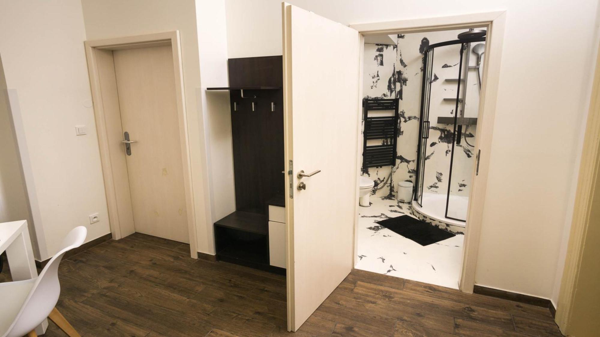 Black & White Apartment Prague By Wenceslas Square And Muzeum Apartment *