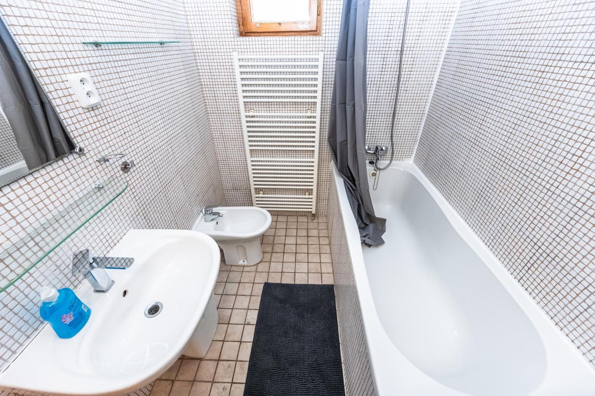 Apartment Slavikova *