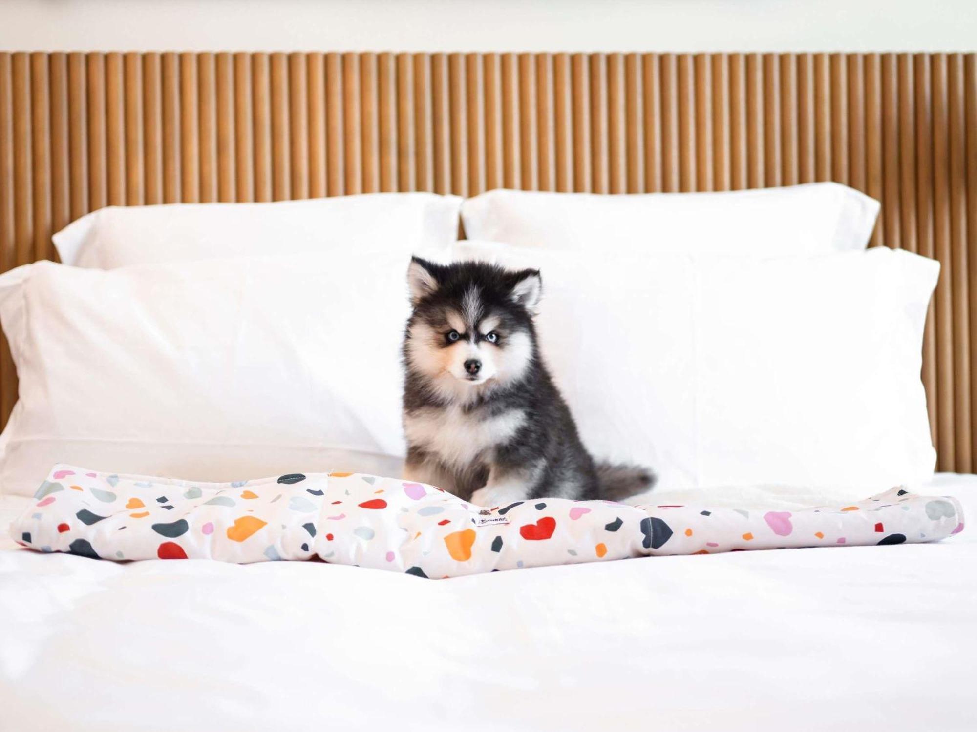 Hotel Mama Shelter Prague