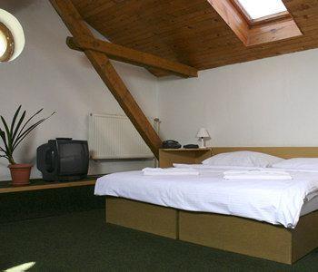 Casa de hóspedes U Sv. Krystofa 3*