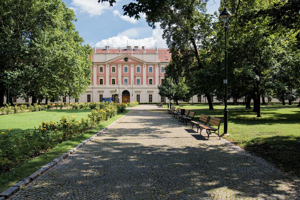 Apartment Gesse Brezinova *