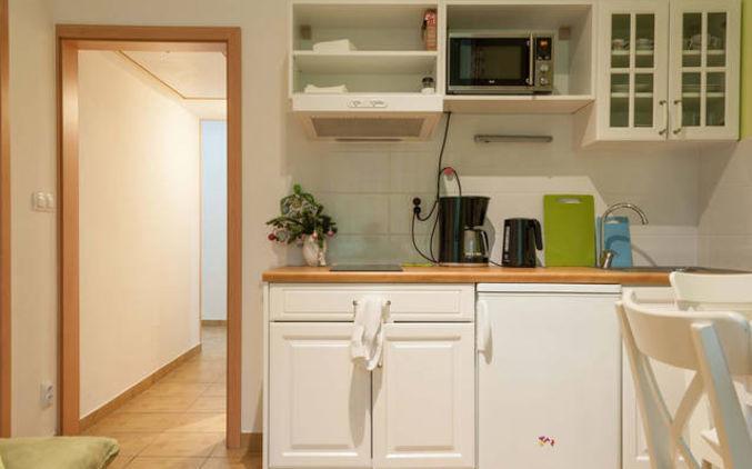 Vinohrady Ii Apartment Prague