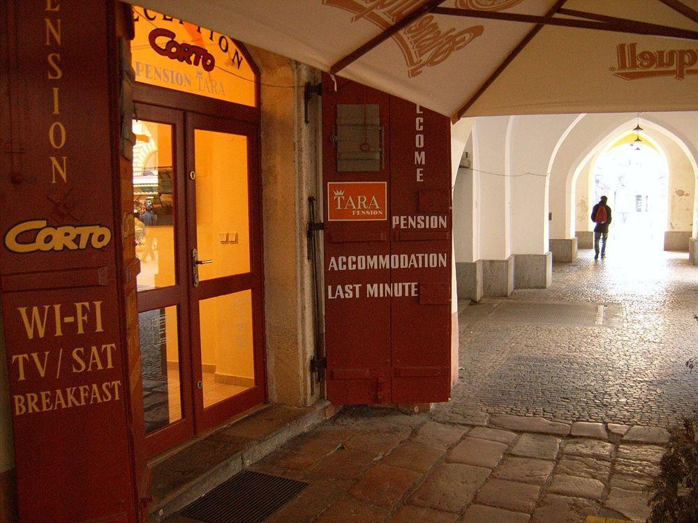 Guest house Tara 2*