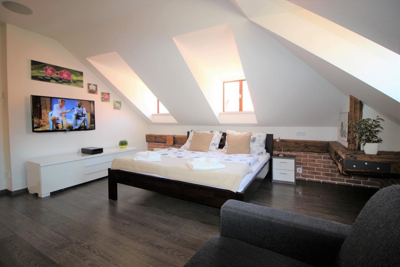 Agnes - Apartamento Praga