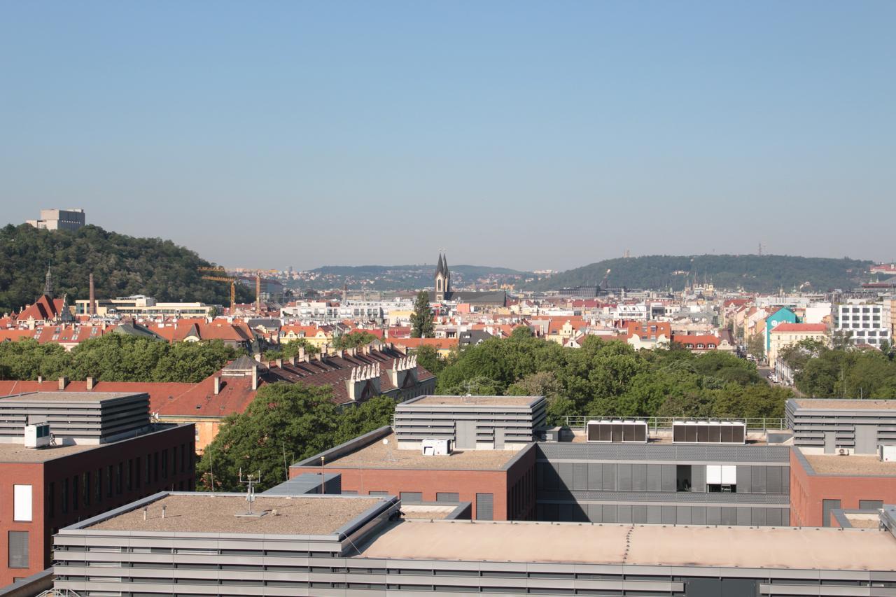 Golden Family Praga