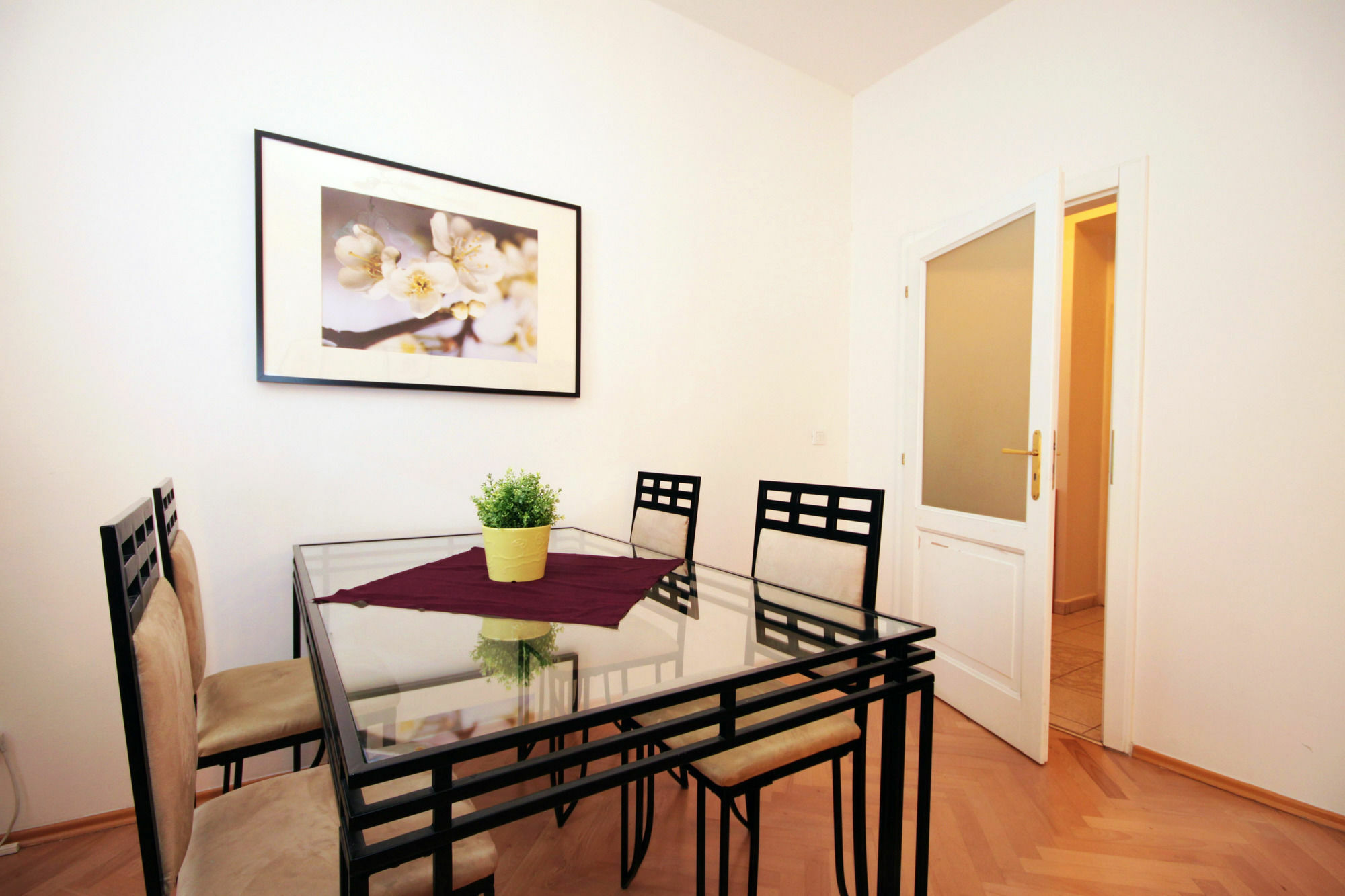 V Lesicku Apartment *