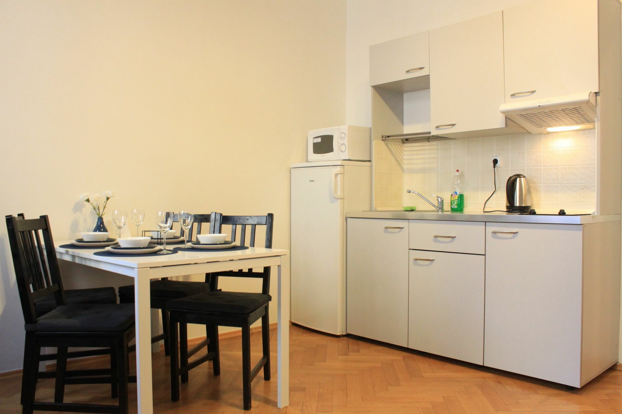 Nejedleho Apartmeet * Prague