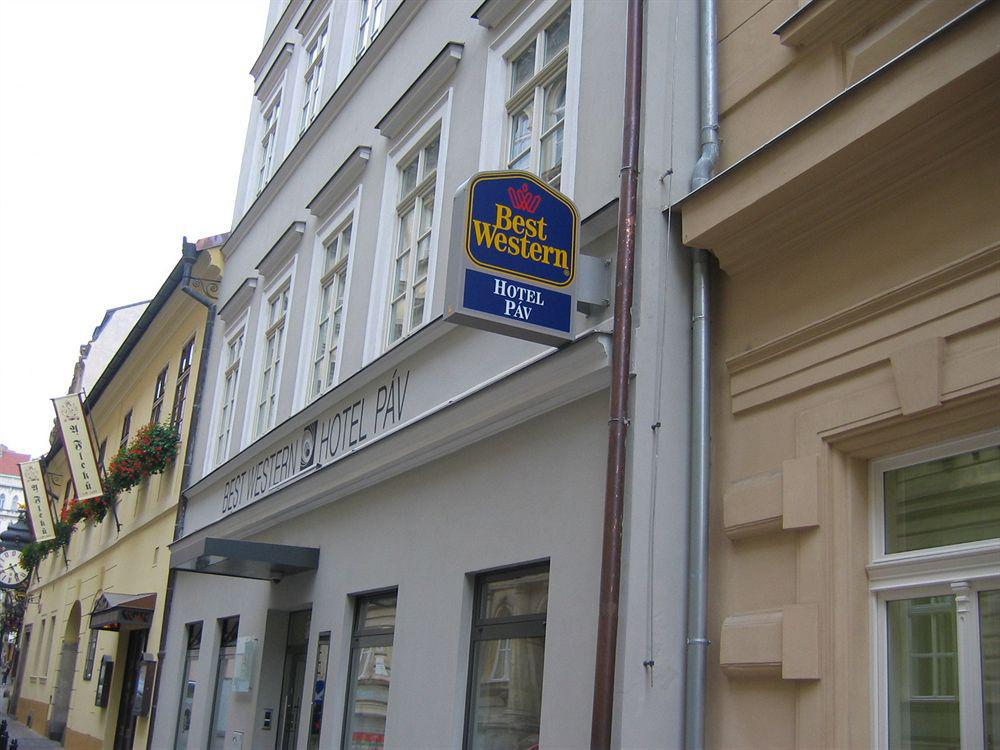 Hotel Pav