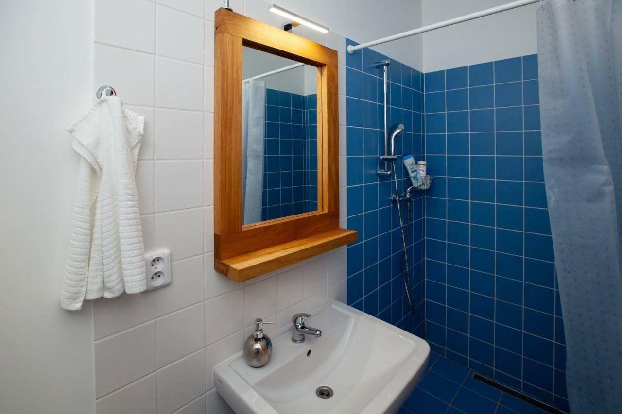 Apartment Zizkov Cosy