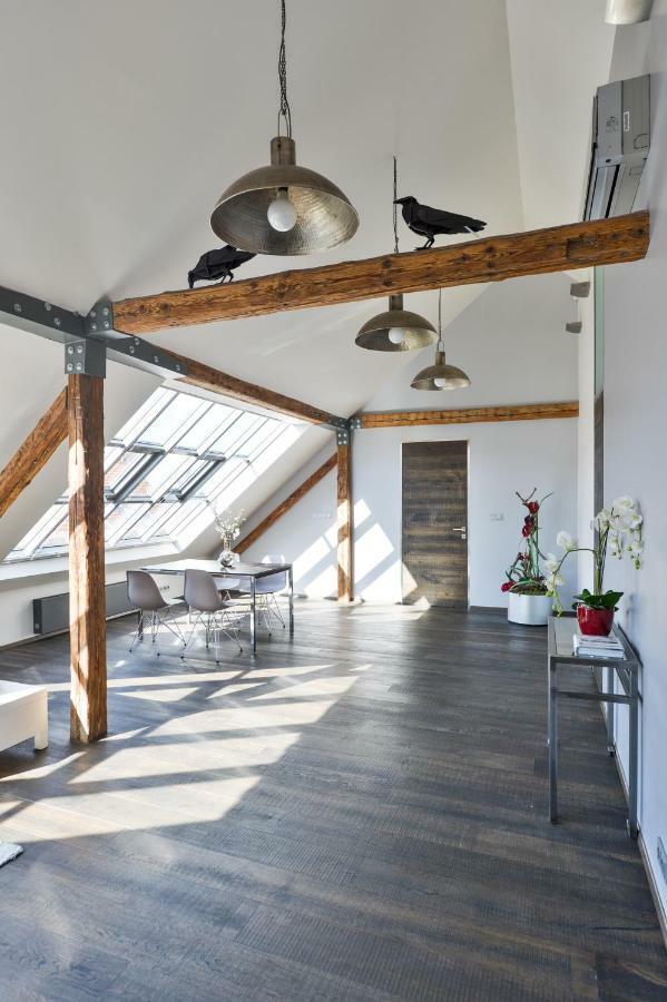 Daire Designer Loft *