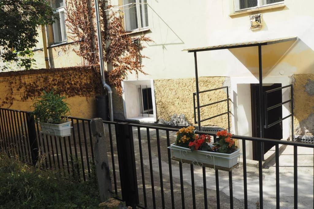 Cozy With A Garden, In The Center! Apartment *