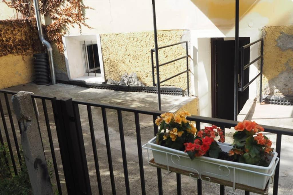 Cozy With A Garden, In The Center! Apartment Prague