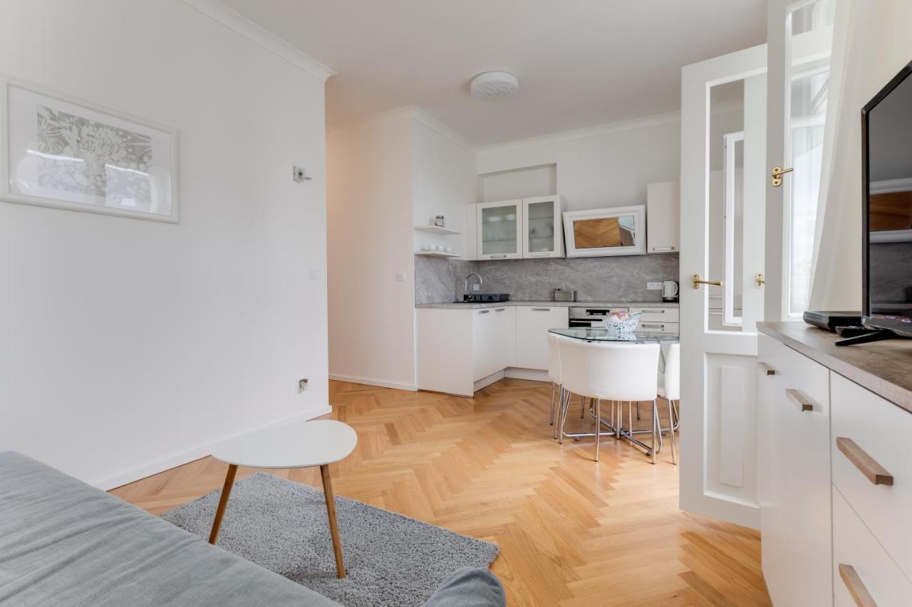 Friendly In Apartment Prague