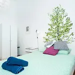Bright, Spacious Apartment In The Historic Centre