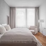 Spacious Apartment In Karlin By Prague Days