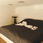 Royal Opletalova Apartment Prague