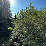 Black Eagle Apartments