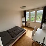 Private Room In A Shared Park-Side Apartment With A Great Connection To The City Center