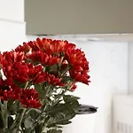 Apartman Anastasie