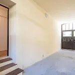 Nice One Bedroom Apartment In Zizkov