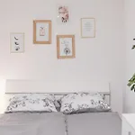 Minimalist Apartment In Wenceslas Square