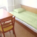 Dizzy Daisy Hostel