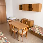 Dizzy Daisy Hostel