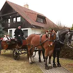 Conifer Cottage Idyllicprague