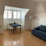 Apartment Deluxe - Narodni Obrany 13