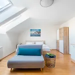 Ferdinand Apartment