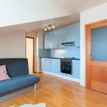 Nest Apartment