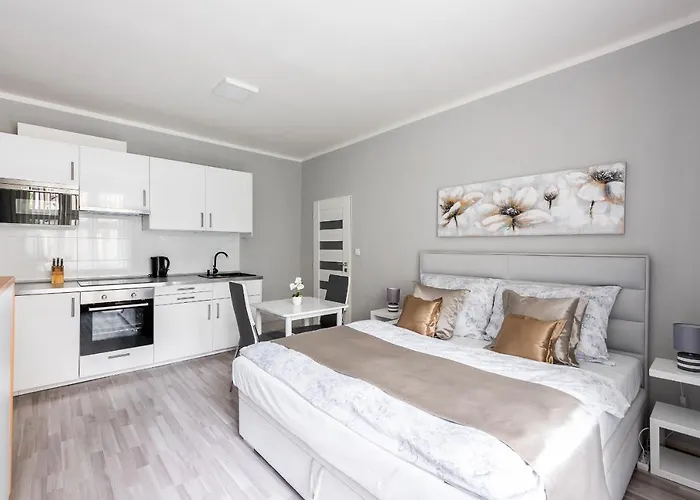 City Apartment Slezska