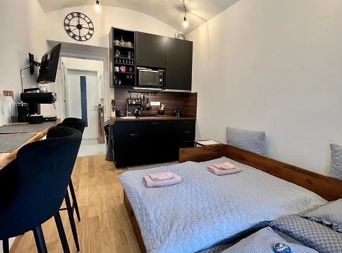 Studio V Prizemi S Kuchyni A Koupelnou
