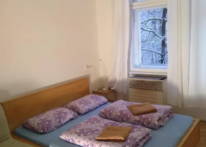 Comfy Apartments In Good Area