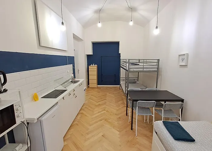 Spacious, Light Studio Apartment In Vinohrady