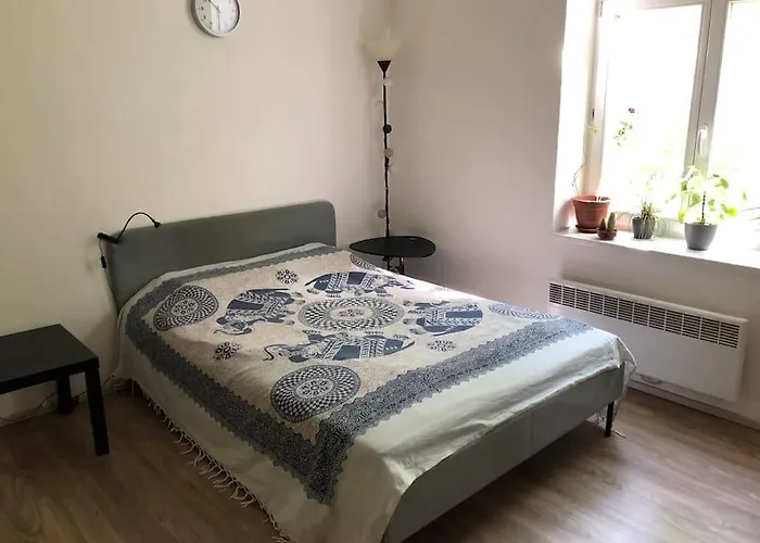 Cozy Karlin