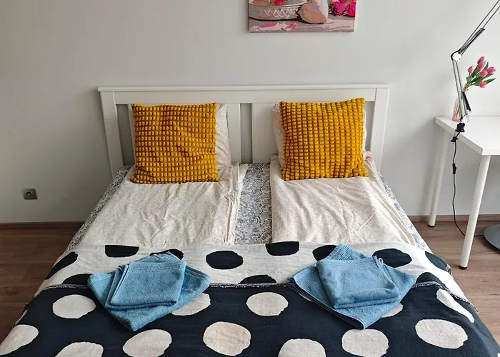 Comfort Flat With Great Location