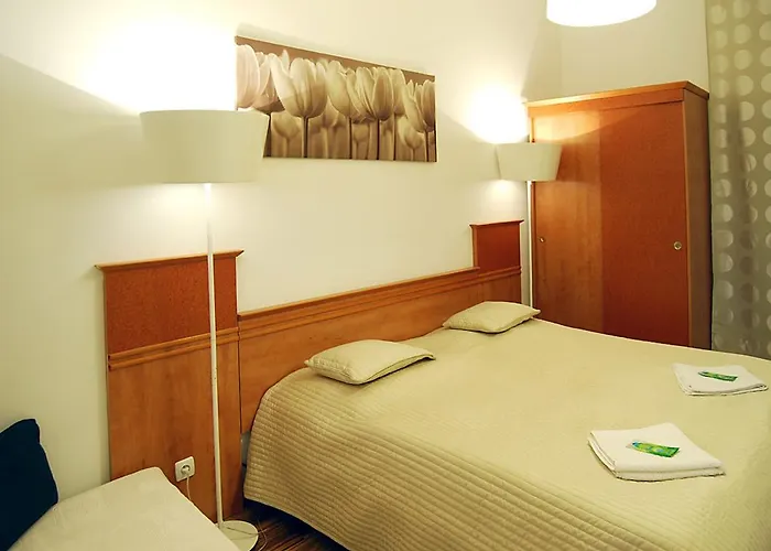 Free Zone Accommodation
