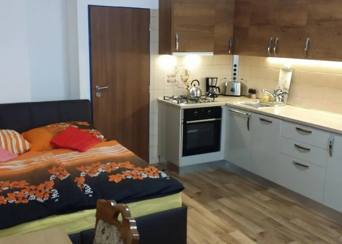 Room&Kitchen Next To Prague Castle