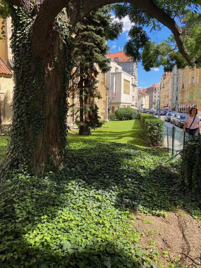 Daire Apartments, Old Town
