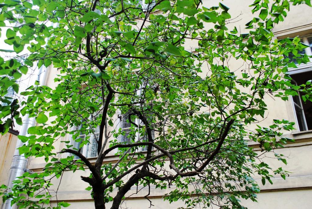 Krakovska 18 Apartment Prague