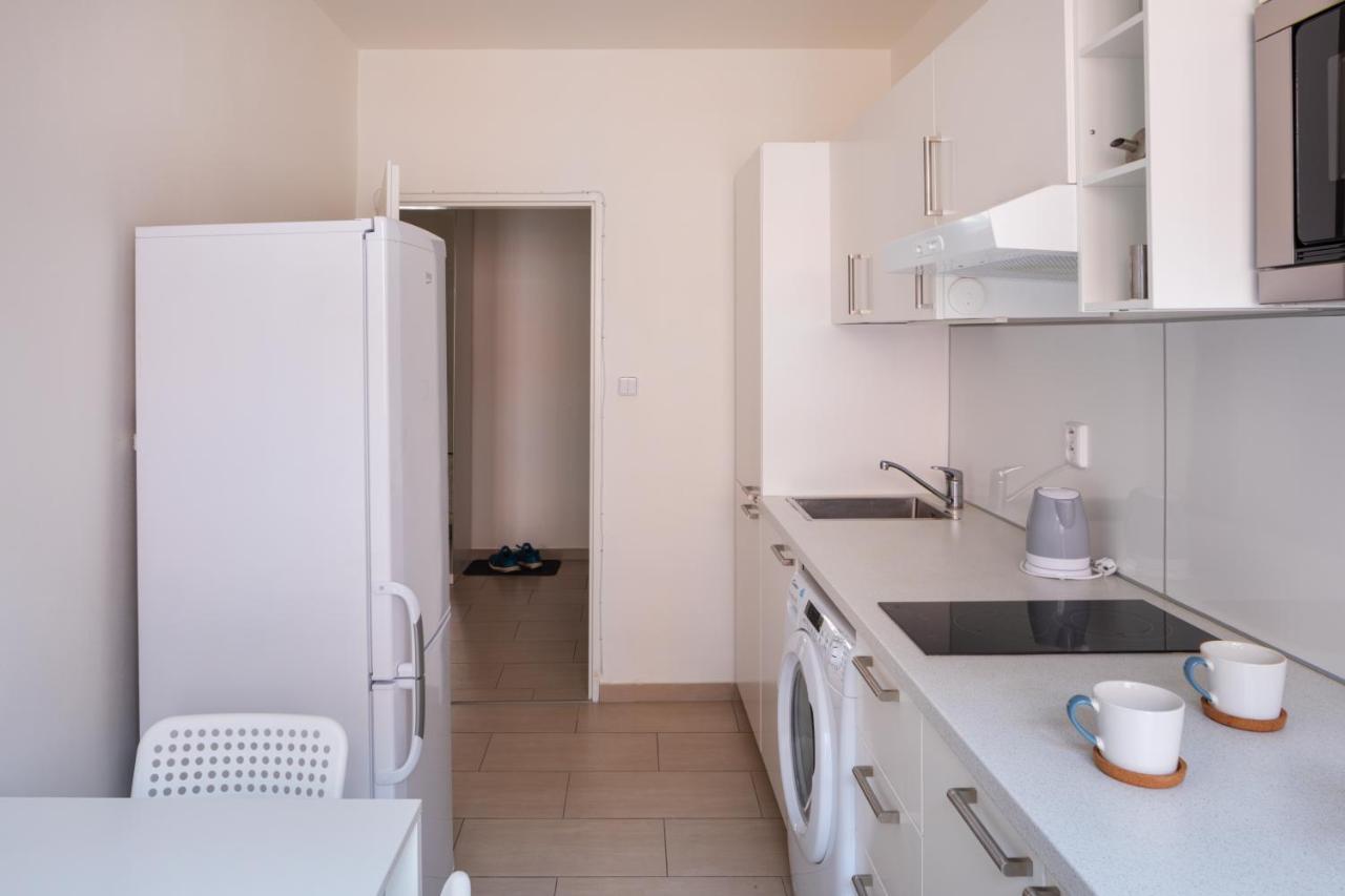 Homey Flat In Vinohrady By Days Apartment Prague