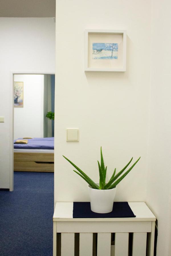 Blue In Beautiful Style Garden With Atmosphere Appartement *