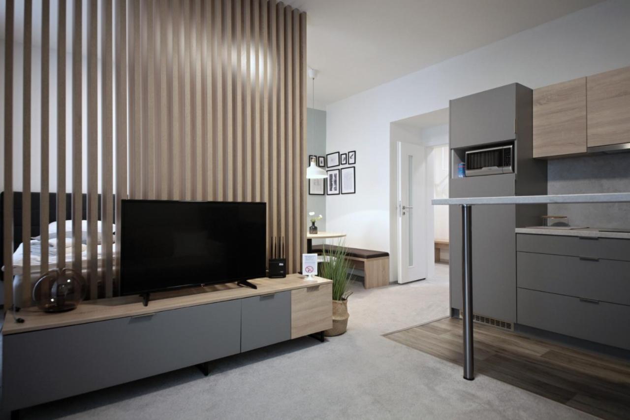 Apartment Honest Smichov