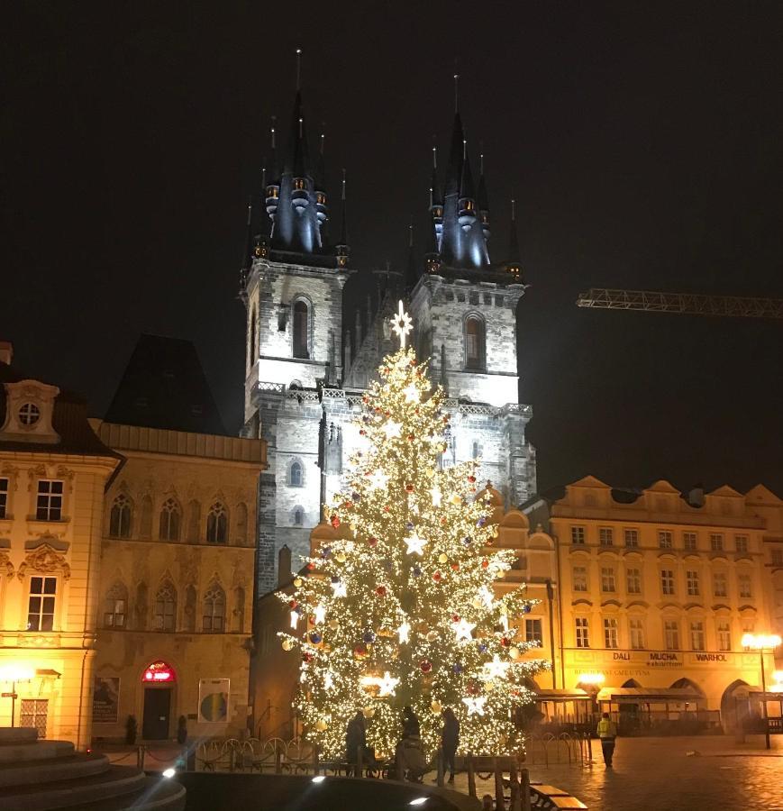 Daire Cubistic Eliska / Jewish Quarter / Old Town Prag