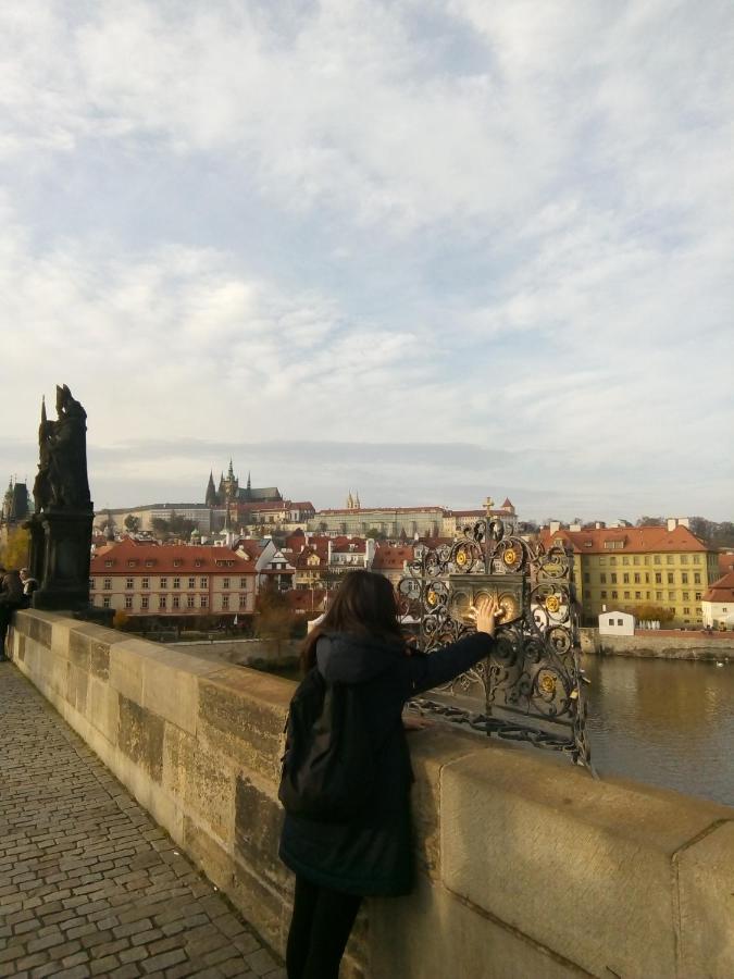 Daire Apartricanova Prag