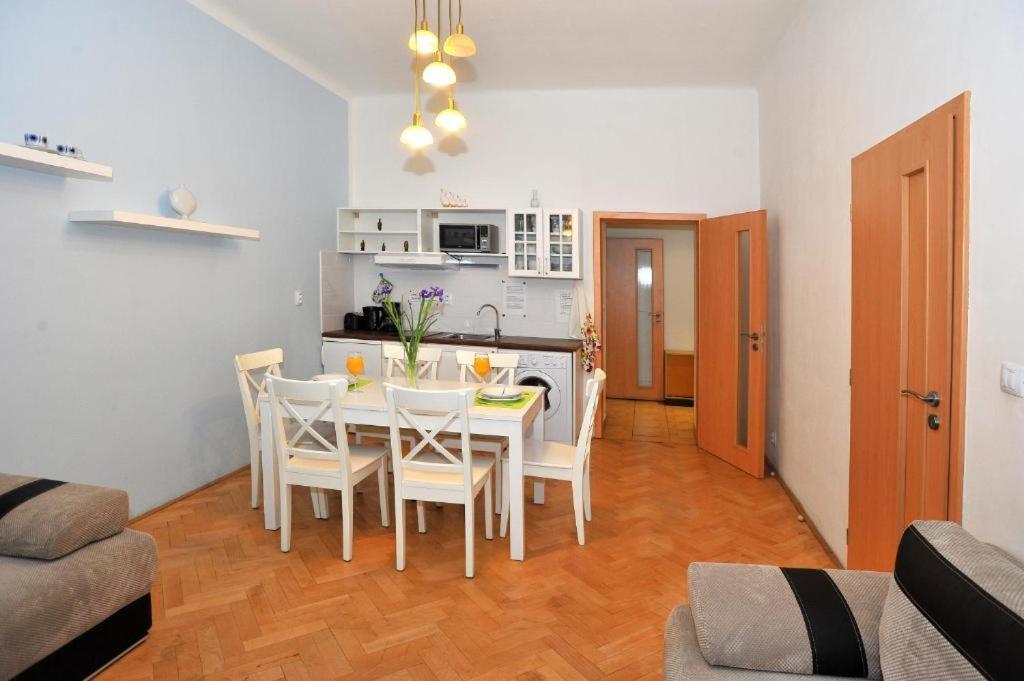 Apartment In Vinohrady Prague