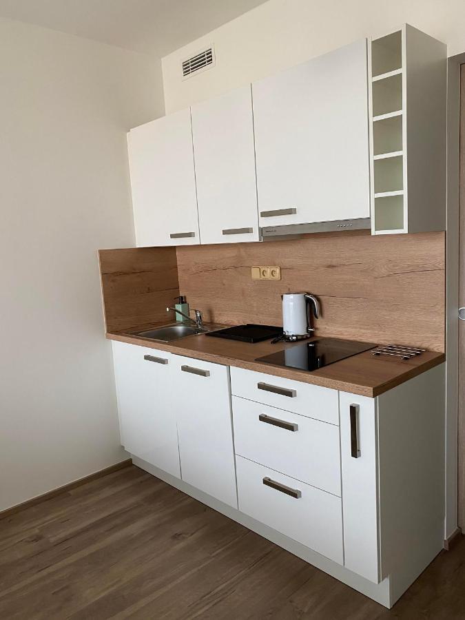 David O2 Arena Appartement Prague