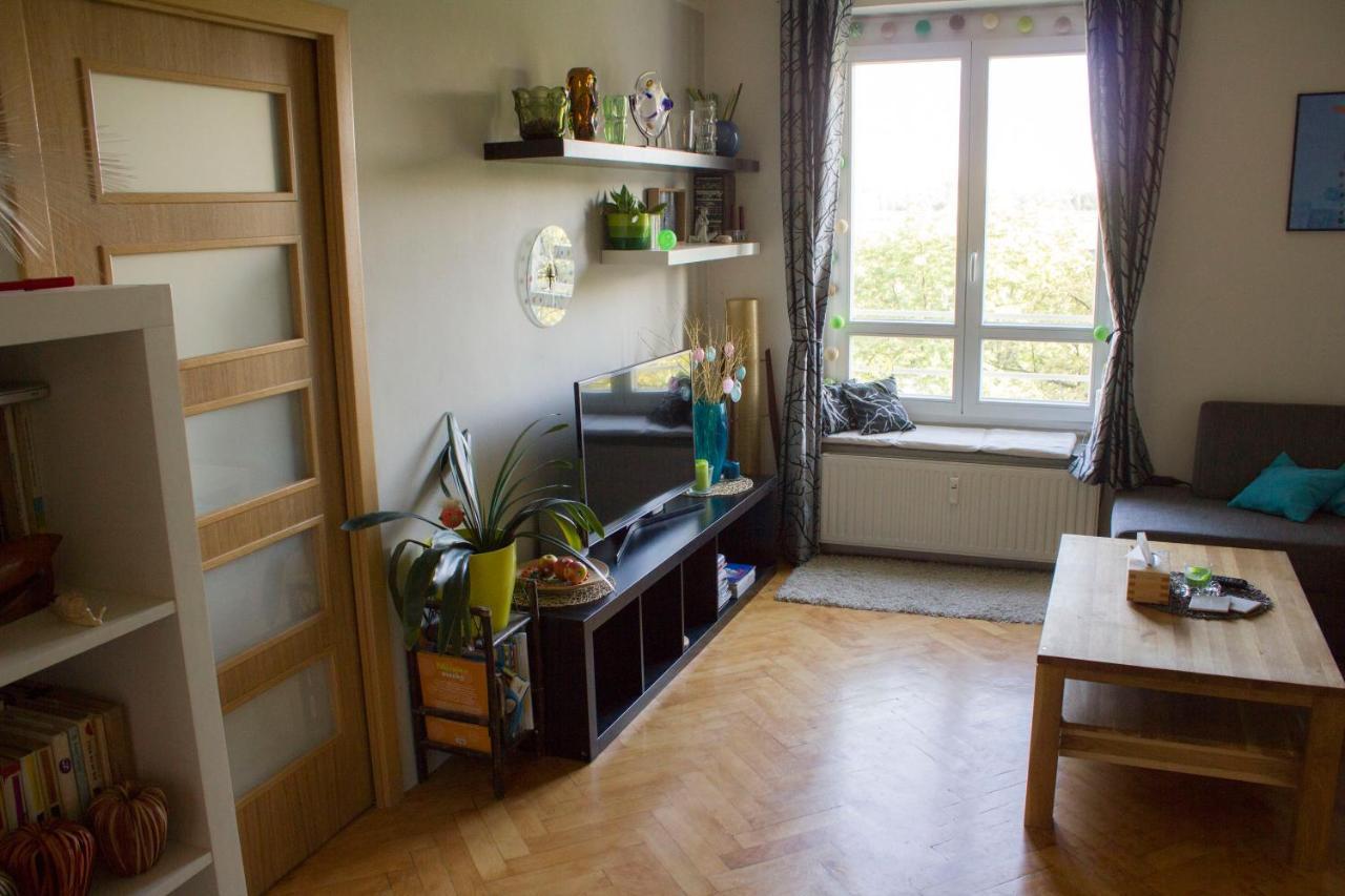 Apartment Sunny Family In Zizkov Prague